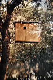 Midjourney generated image using SREF code Rustlight: A tree house in the middle of a forest.