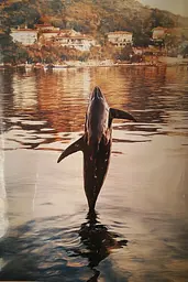 Midjourney generated image using SREF code Rustlight: A dolphin jumping out of the water in front of a city.
