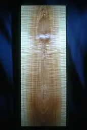 Midjourney generated image using SREF code Haloed Spectres: A close up of a piece of wood on a blue background.