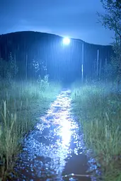 Midjourney generated image using SREF code Haloed Spectres: A wet road in the middle of a grassy field at night.