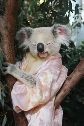 Midjourney generated image using SREF code Whisker Silks: A koala bear in a pink robe sleeping in a tree.