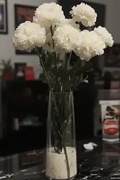 Midjourney generated image using SREF code Hushframe: A vase filled with white flowers sitting on top of a table.