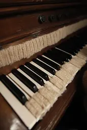 Midjourney generated image using SREF code Hushframe: A close up of a piano keyboard with black and white keys.