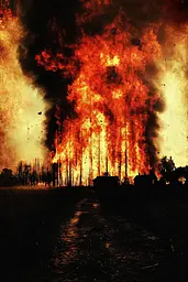 Midjourney generated image using SREF code Coalpaper: A large fire is burning in the middle of a field.