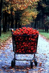 Midjourney generated image using SREF code Obscuralume: A shopping cart full of strawberries sitting on a road.