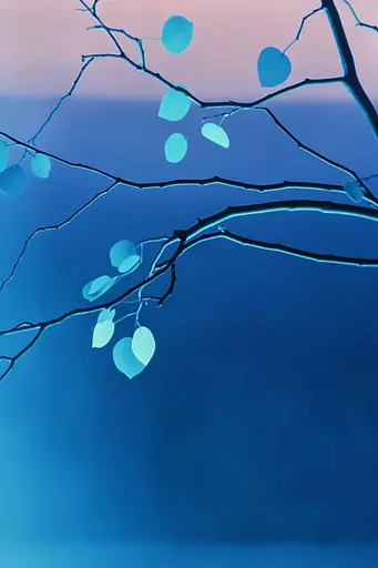 Midjourney generated image using SREF code ChromoSpectra: A branch of a tree with blue leaves on it.