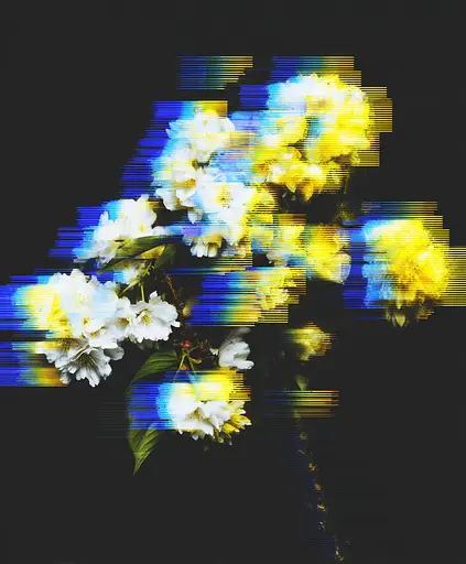 Midjourney generated image using SREF code , , : A cross with white flowers on a black background.