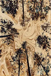 Midjourney generated image using SREF code Sepiawurp: A painting of a group of trees in a forest.