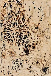 Midjourney generated image using SREF code Sepiawurp: A painting of a flower on a piece of paper.