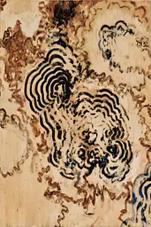 Midjourney generated image using SREF code Sepiawurp: A painting on a piece of wood with a black and white design.