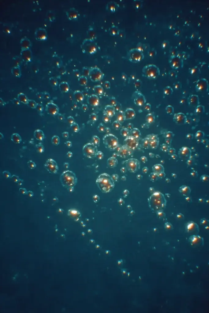 Midjourney generated image using SREF code Blue Velvet: A bunch of bubbles floating in the water.