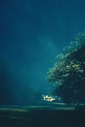 Midjourney generated image using SREF code Blue Velvet: A house in the middle of a foggy field at night.