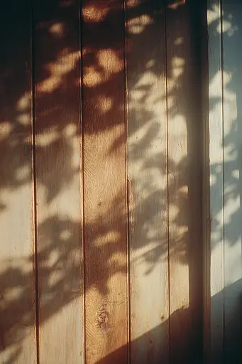 Midjourney generated image using SREF code Sunwrinkle: A shadow of a tree casts a shadow on a wooden wall.