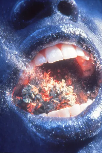 Midjourney generated image using SREF code Phosplasm: A close up of a woman's mouth with a marijuana in it.