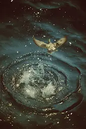 Midjourney generated image using SREF code Nebuloom: A bird flying over a body of water.