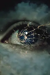 Midjourney generated image using SREF code Nebuloom: A close up of a spider web in the eye of a woman.