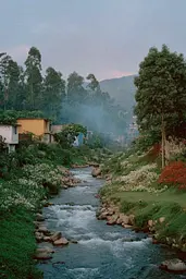 Midjourney generated image using SREF code Hushed Loomlight: A river running through a lush green hillside next to houses.