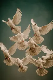 Midjourney generated image using SREF code Mudlore: A flock of white doves flying through the air.