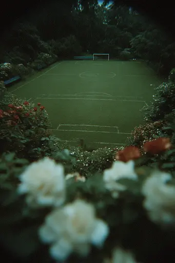 Midjourney generated image using SREF code Glitchmorose: A soccer field surrounded by roses in a garden.