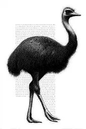 Midjourney generated image using SREF code Dotquake: A black and white drawing of an emu.