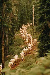 Midjourney generated image using SREF code Coppermuse: A group of soldiers walking down a trail in the woods.