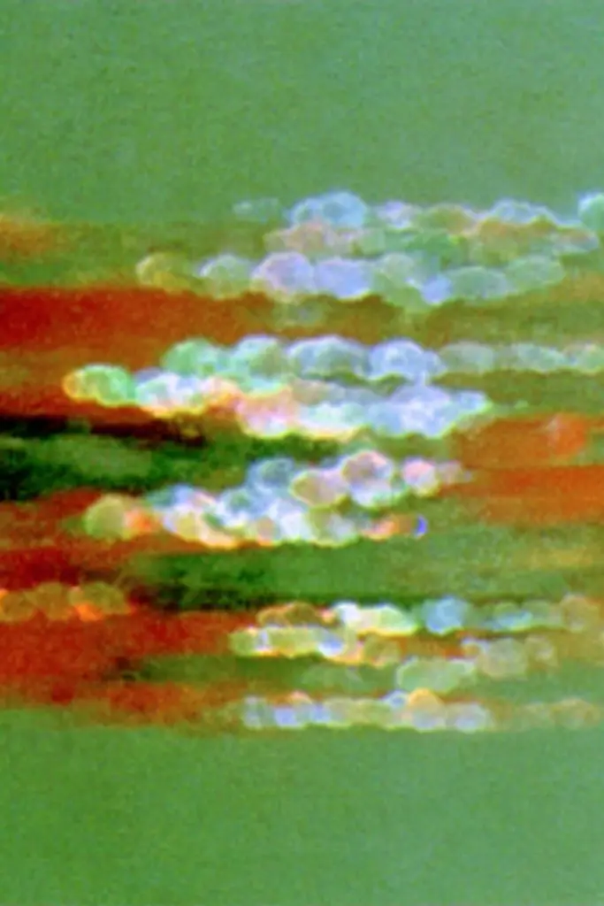 Midjourney generated image using SREF code Chromoshred: a close up of a green and red painting on a wall