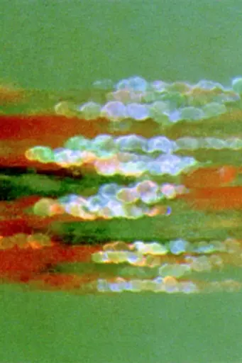 Midjourney generated image using SREF code Chromoshred: a close up of a green and red painting on a wall