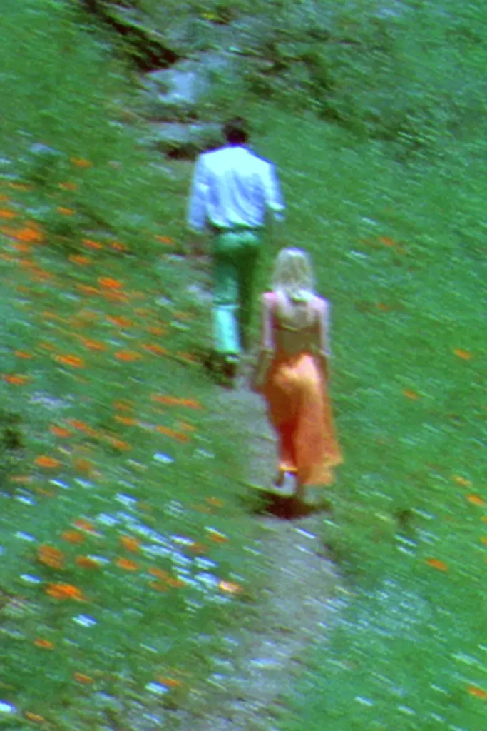 Midjourney generated image using SREF code Chromoshred: A man and a woman walking through a field of flowers.