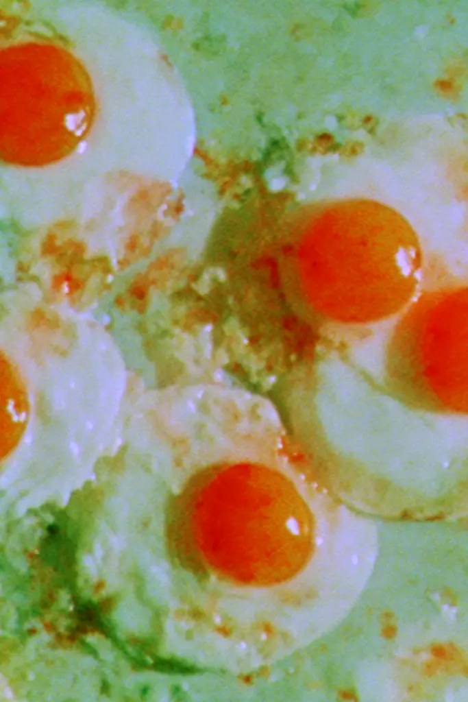 Midjourney generated image using SREF code Chromoshred: A close up of four fried eggs on a plate.