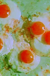 Midjourney generated image using SREF code Chromoshred: A close up of four fried eggs on a plate.
