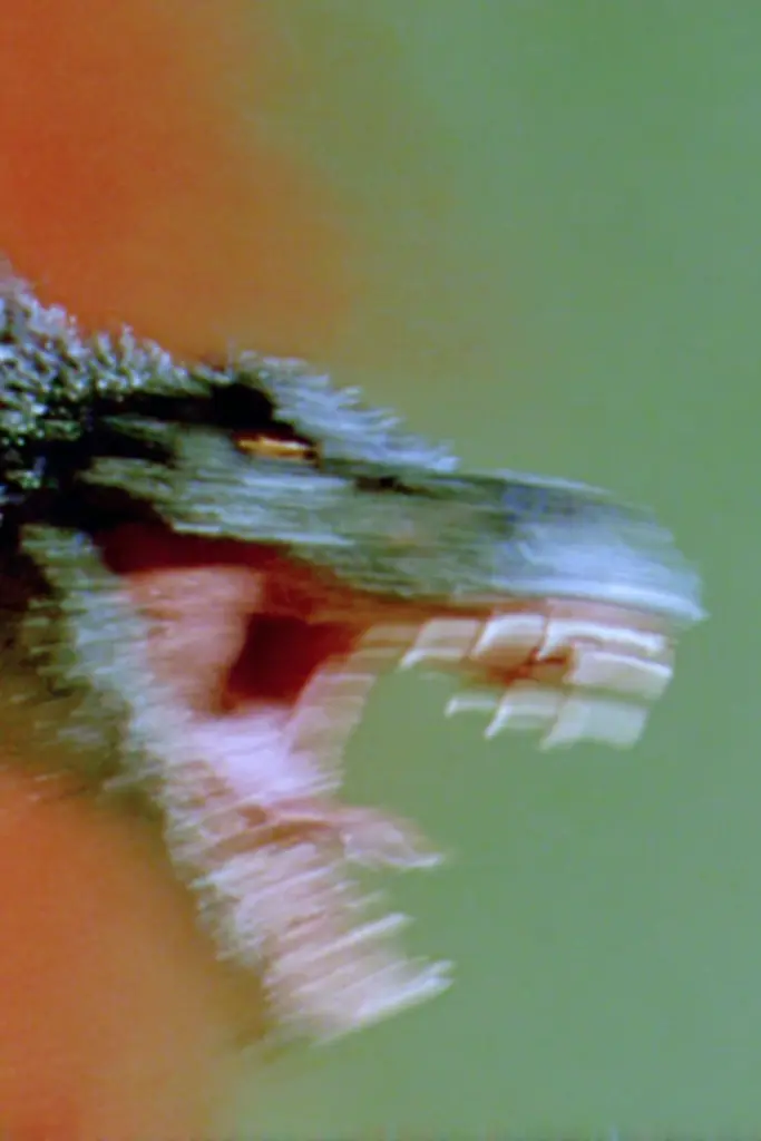 Midjourney generated image using SREF code Chromoshred: A close up of a lizard with its mouth open.