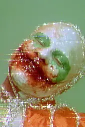 Midjourney generated image using SREF code Chromoshred: a close up of a person with a face covered in glitter