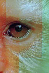 Midjourney generated image using SREF code Chromoshred: A close up of a person's eye with a flag in the background.