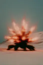 Midjourney generated image using SREF code Blurloom: A blurry image of a fire in the middle of a desert.