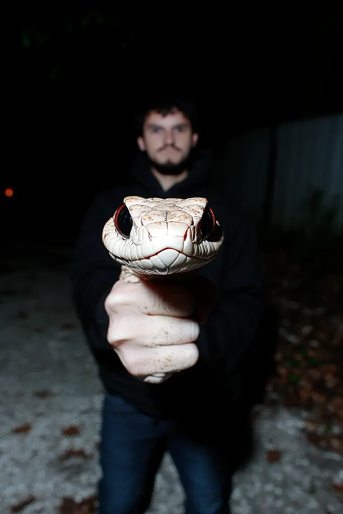 Midjourney generated image using SREF code Rebel Abyss: A man holding a snake in his hand.