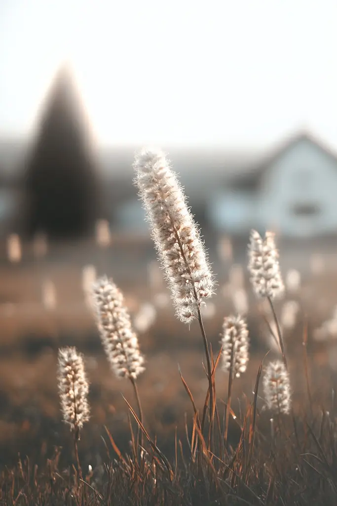 Midjourney generated image using SREF code Silent Gestures: A field of tall grass with a church in the background.