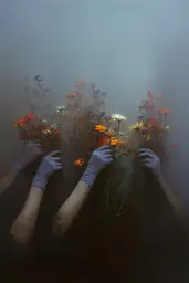 Midjourney generated image using SREF code Midnight Memoirs: A group of hands holding a bunch of flowers in the fog.