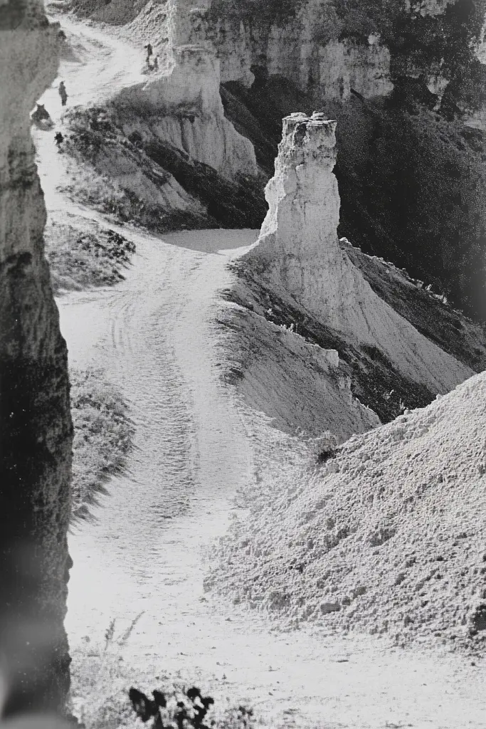 Midjourney generated image using SREF code Ethereal Dusk: A black and white photo of a dirt road in the desert.