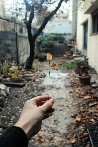 Midjourney generated image using SREF code Transient Reality: A person holding a small leaf in their hand.