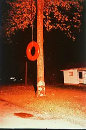 Midjourney generated image using SREF code Amber Memoirs: A red life preserver hanging from a tree in front of a house.