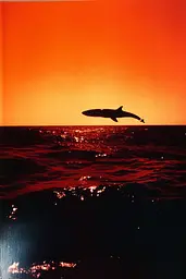 Midjourney generated image using SREF code Amber Memoirs: A dolphin jumping out of the water at sunset.