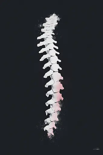 Midjourney generated image using SREF code Somatic Slivers: A black and white painting of a spine on a black background.