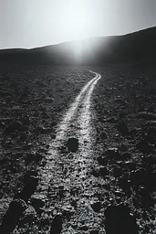 Midjourney generated image using SREF code Tonal Tales: A black and white photo of a dirt road in the desert.