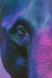 Midjourney generated image using SREF code Electric Dreams: A close up of an elephant's eye with blue and purple paint.