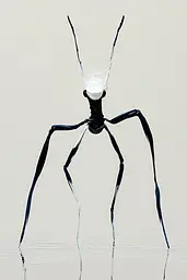 Midjourney generated image using SREF code Silken Fragments: A black and white photo of a spider on a reflective surface.