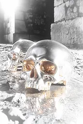 Midjourney generated image using SREF code Chrome Lilt: A couple of silver skulls sitting on top of a table.