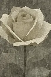 Midjourney generated image using SREF code Fragmented Silence: A single white rose on a gray background.