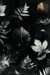 Midjourney generated image using SREF code Monochrome Alchemy: A black and white photo of leaves on a black background.