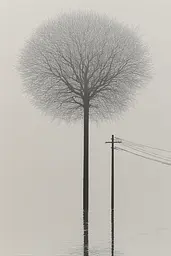 Midjourney generated image using SREF code Spectral Anatomy: A lone tree in the middle of a flooded field.