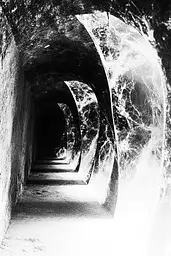 Midjourney generated image using SREF code Monochrome Shards: A black and white photo of a tunnel.